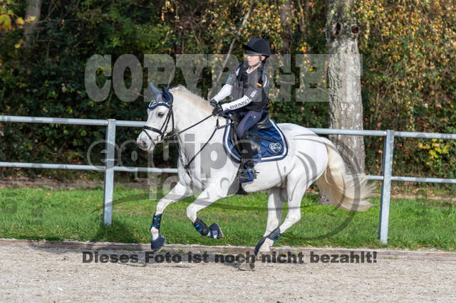 IGV Lehrgang der Sieger der Cups mit Frank Ostholt