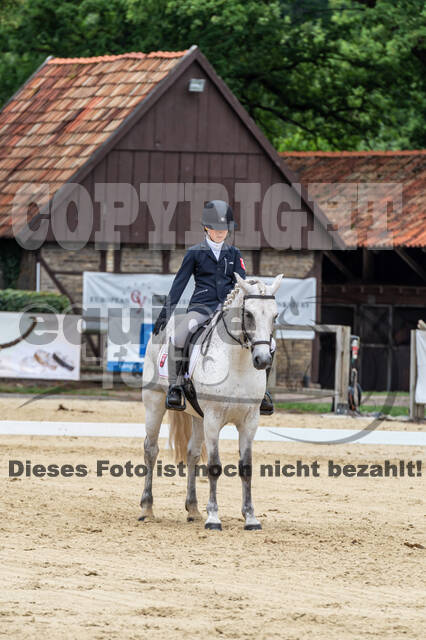 Goldene Schärpe 2021 - Ponys