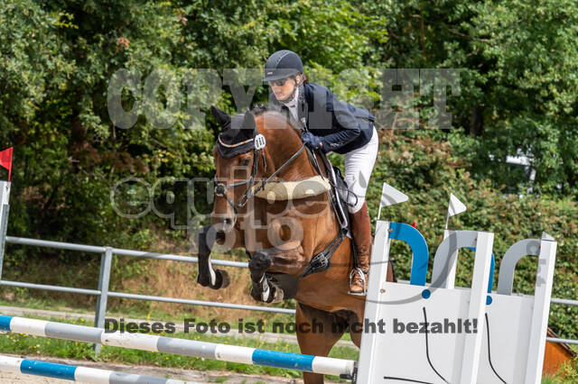 Late-Entry-Vielseitigkeit Langenfeld (06.+07.07.2020)