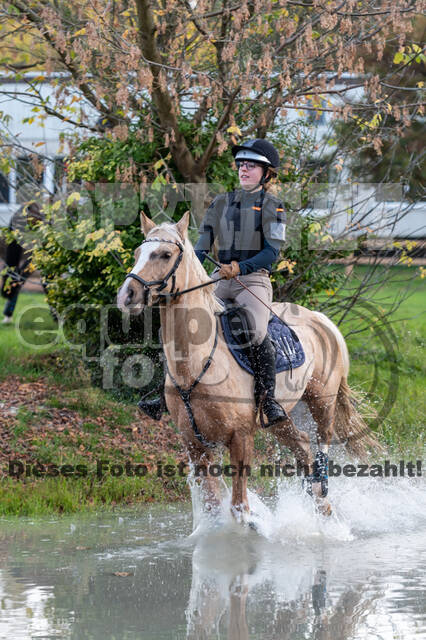 IGV Lehrgang der Sieger der Cups mit Frank Ostholt