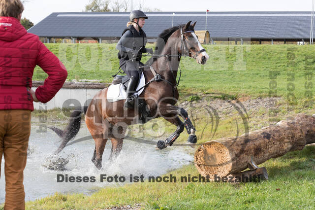 IGV Lehrgang der Sieger der Cups mit Frank Ostholt