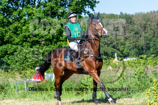 Westerstede Horse Trials (10.-13.06.2021)