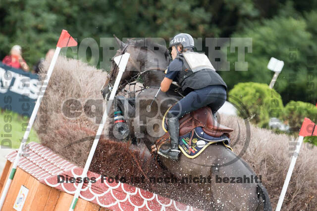 FEI European Championship