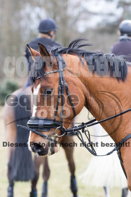 Geländetraining RSV St. Hubertus Wesel Obrighoven