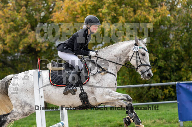 Goldene Schärpe 2020 - Pferde