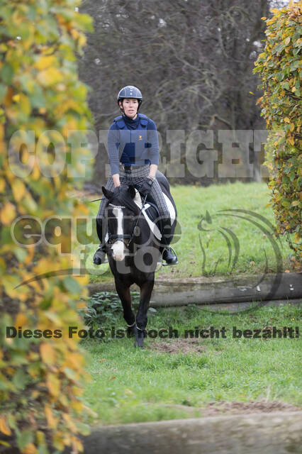 IGV Lehrgang der Sieger der Cups mit Frank Ostholt