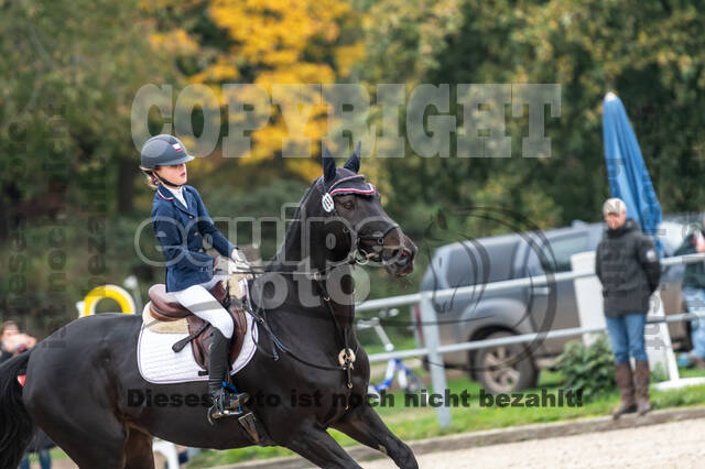 Reiter Schleswig-Holstein