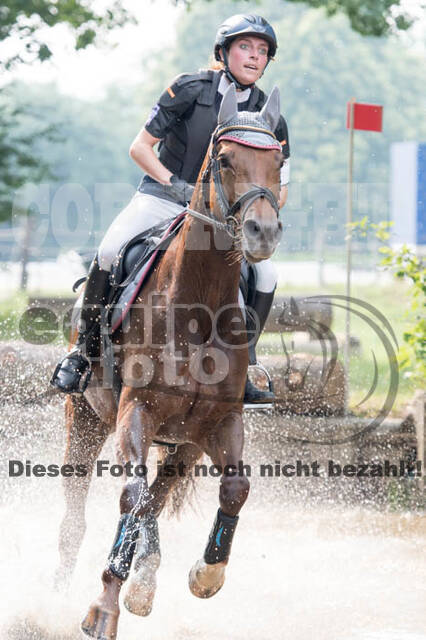 RFV Bad Honnef