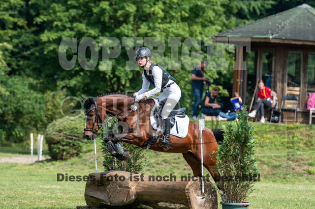 Goldene Schärpe 2021 - Ponys