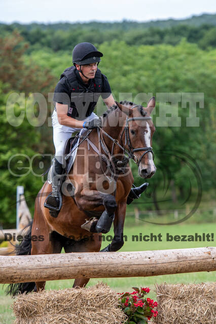 Bonn-Rodderberg Late-Entry-Vielseitigkeit (30.06.2020)