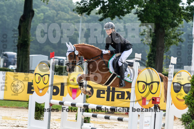 Goldene Schärpe 2021 - Ponys