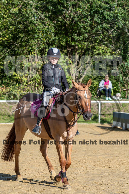 RFV Dinslaken-Hiesfeld (Herbstturnier)