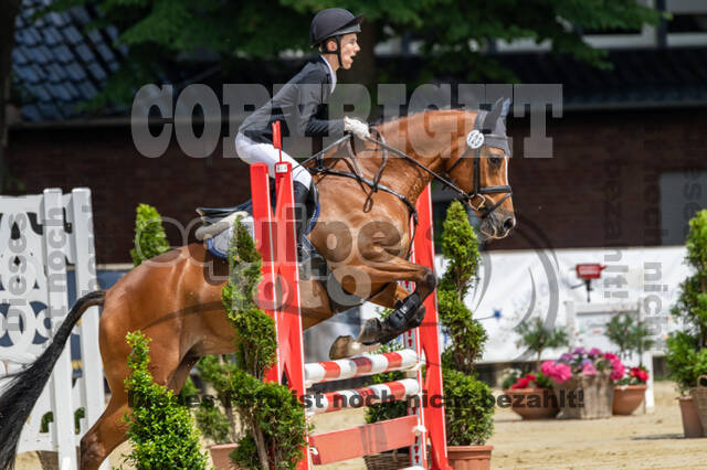 Goldene Schärpe 2021 - Ponys