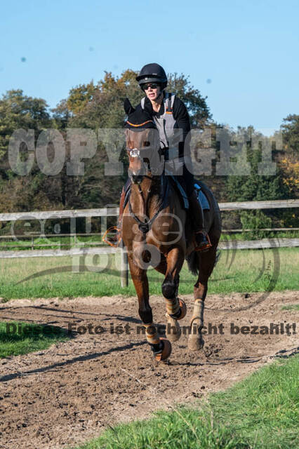 Vielseitigkeitslehrgang mit Jürg Kurbel (9.+10.11.2019)