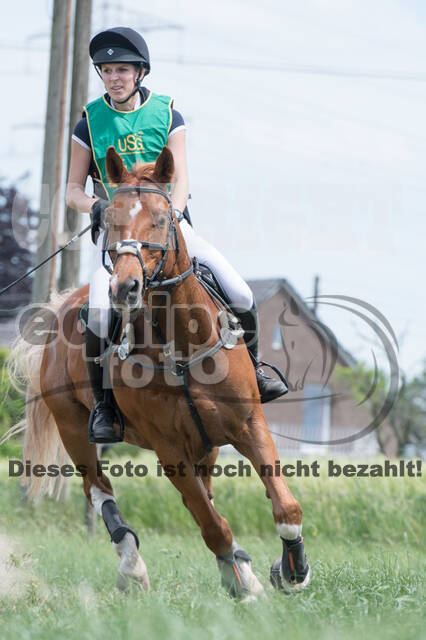 Vielseitigkeitsturnier ZRuFV von Lützow Hamminkeln