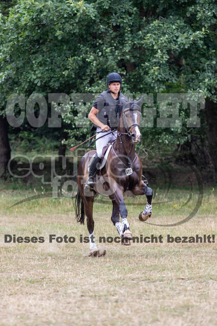Late-Entry Vielseitigkeit Hamminkeln/Wesel (01.+02.08.2020)