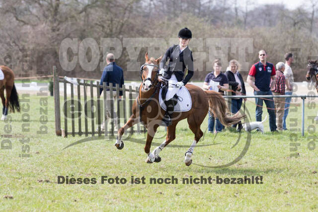 Frühjahrsvielseitigkeit RV Seydlitz Kamp