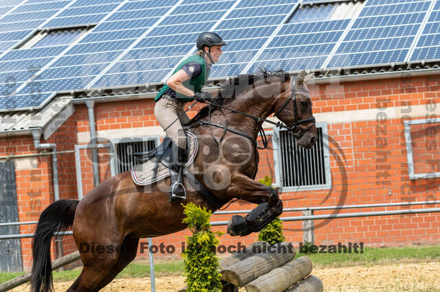 Hunter Geländetraining 10.07.2021 (Sonsbeck)