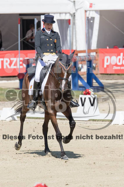 FEI European Championship Eventing 2017