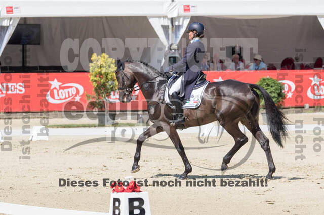 FEI European Championship