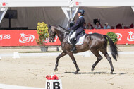 FEI European Championship