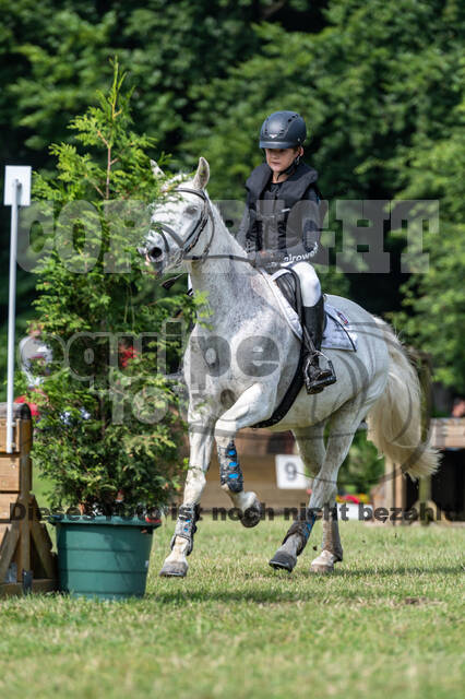 Goldene Schärpe 2021 - Ponys