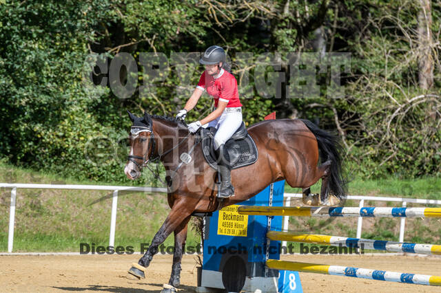 RFV Dinslaken-Hiesfeld (Herbstturnier)