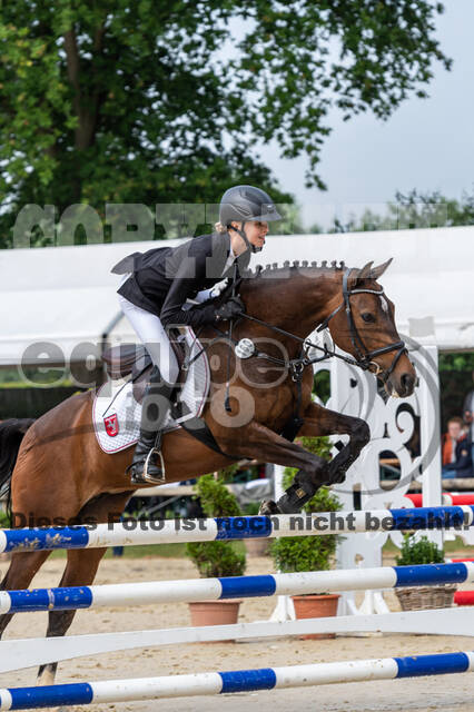 Goldene Schärpe 2021 - Ponys