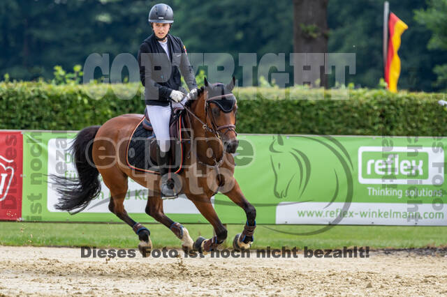 Goldene Schärpe 2021 - Ponys