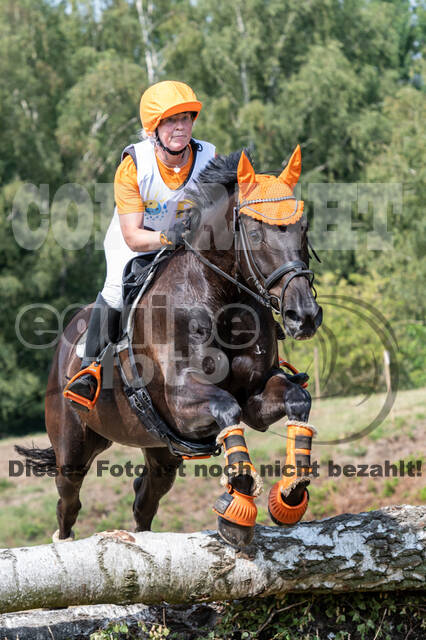 Late-Entry Vielseitigkeit Hamminkeln/Wesel (01.+02.08.2020)