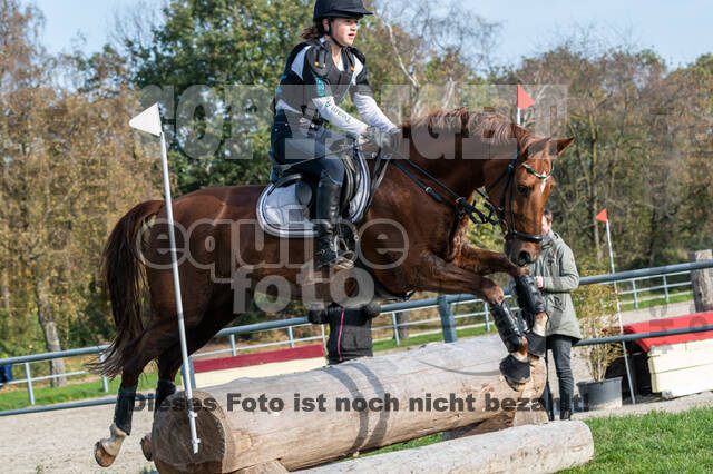 IGV Lehrgang der Sieger der Cups mit Frank Ostholt