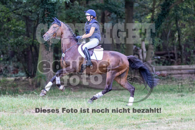 Late-Entry Vielseitigkeit Hamminkeln/Wesel (01.+02.08.2020)