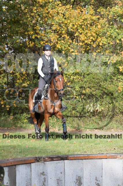IGV Lehrgang der Sieger der Cups mit Frank Ostholt