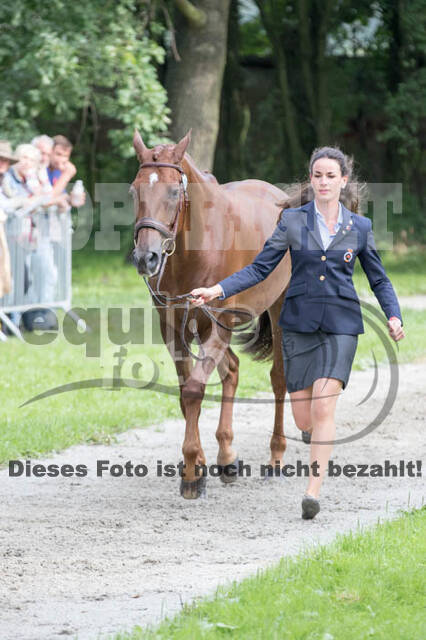 FEI European Championship Eventing 2017