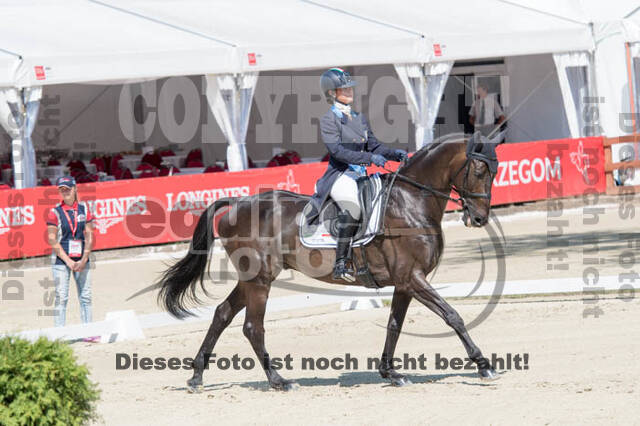 FEI European Championship