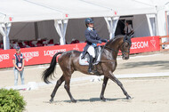FEI European Championship