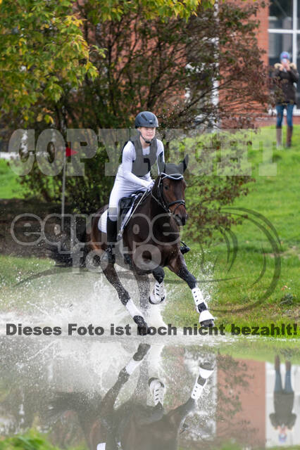 Goldene Schärpe 2020 - Pferde