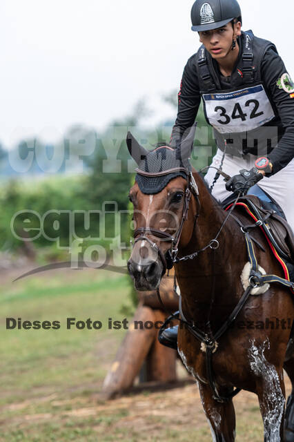 De Peelbergen (August 2020)