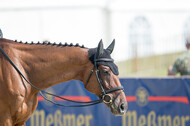 FEI European Championship Eventing 2019