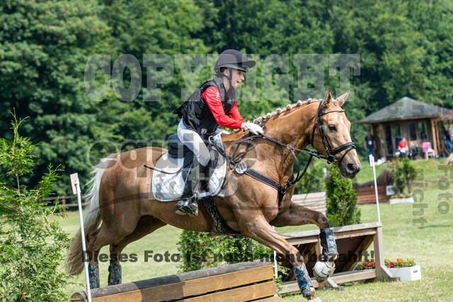 Goldene Schärpe 2021 - Ponys