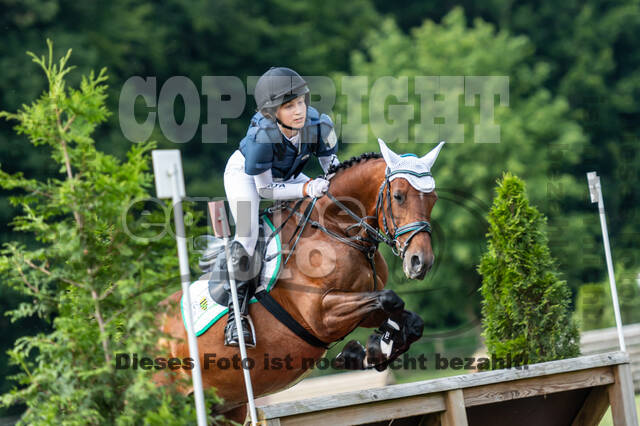 Goldene Schärpe 2021 - Ponys