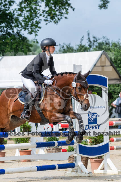 Goldene Schärpe 2021 - Ponys