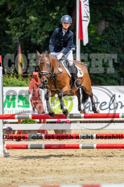 Goldene Schärpe 2021 - Ponys