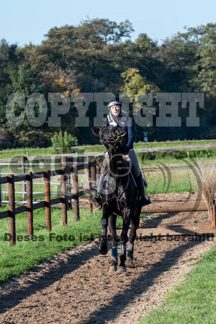 Vielseitigkeitslehrgang mit Jürg Kurbel (9.+10.11.2019)