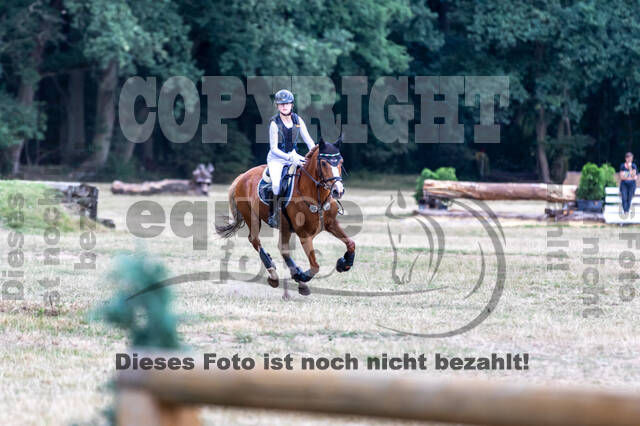Late-Entry Vielseitigkeit Hamminkeln/Wesel (01.+02.08.2020)