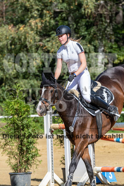 RFV Dinslaken-Hiesfeld (Herbstturnier)
