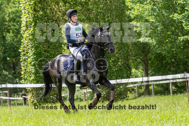 Westerstede Horse Trials 2021
