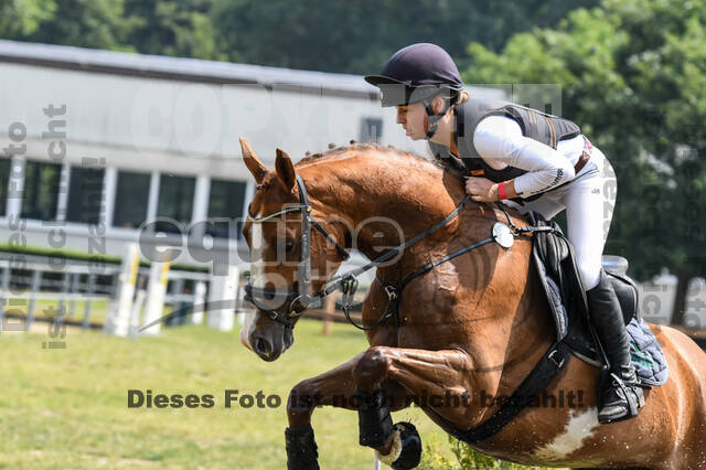 Late-Entry-Vielseitigkeit Langenfeld (11.+13./14.06.2020)