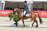 FEI European Championship Eventing 2017