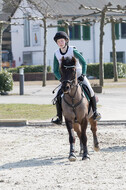 Eventing Langenfeld 2018